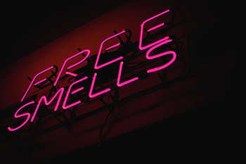 Words, Backlight, Illumination, Sign, Signboard, Letters HD wallpaper