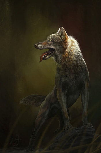 Art, Wolf, Protruding Tongue, Tongue Stuck Out HD phone wallpaper