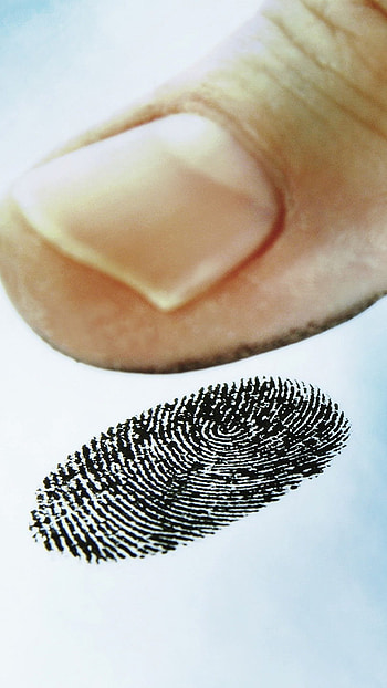 Fingerprint, Thumb, Print HD phone wallpaper