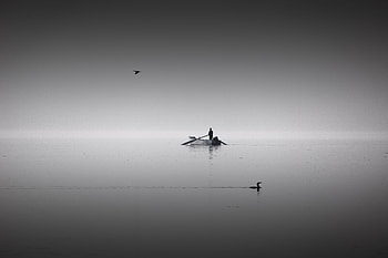 Birds, Horizon, Lake, Minimalism, Silence, Bw, Chb, Boat, Human, Person, Calm HD wallpaper