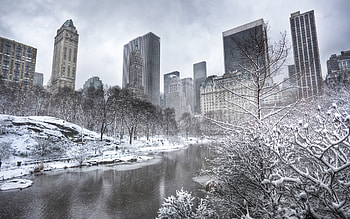 Central Park, , Background HD wallpaper
