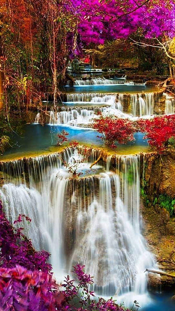 Beautiful Nature, Adorable HD phone wallpaper