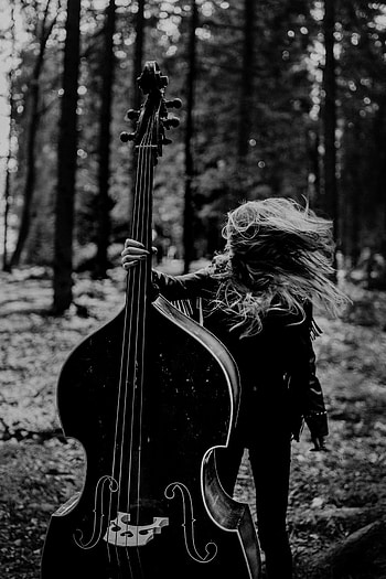 Music, Forest, Musical Instrument, Girl, Bw, Chb HD phone wallpaper