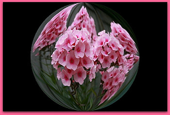 PHLOX BALL, ART, BALL, PHLOX, ABSTRACT HD wallpaper