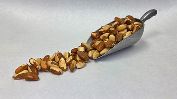 Shute Pecan Brazil nuts, LB of nutty goodness, Nut snack sensation, Gourmet delight HD wallpaper
