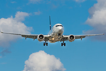 Airplane, Cicerones guide, Beer on board, Hop culture HD wallpaper
