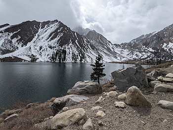 Convict lake tree HD wallpaper