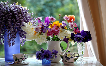 Plants, Flowers, Bouquets HD wallpaper