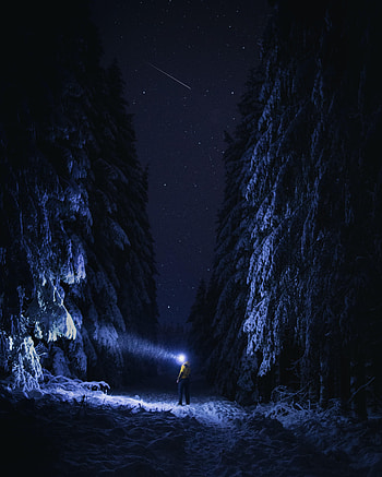 Night, Snow, Dark, Forest, Human, Person, Flashlight HD phone wallpaper