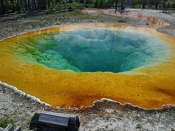 MORNING GLORY POOL, parks, nature, yellowstone, water HD wallpaper