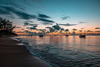Nature eyecandy, XFCE HD wallpaper