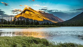 Banff National Park, Trees, River, Canada, Mountain, Landscape HD wallpaper