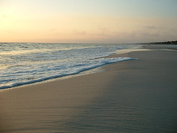 mexico beach, sandy water HD wallpaper
