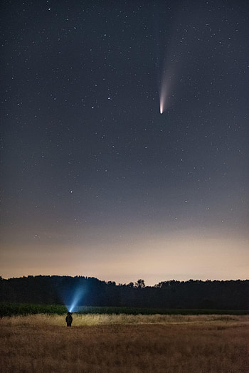Night, Dark, Field, Human, Person, Starfall, Flashlight HD phone wallpaper