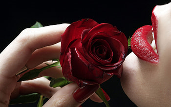 Valentine rose, hot, people, woman, rose, valentines, cherry, flower, red, nature, flowers, lips HD wallpaper
