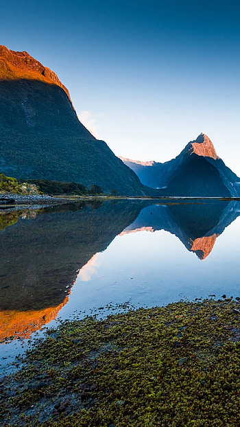 Morning View of Milford Sound, Piopiotahi, Fiordland National Park, New Zealand HD phone wallpaper