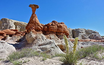 Toadstools Trail, Grand Staircase-Escalante National Monument, Utah, landscape, sky, rocks, usa, plants HD wallpaper
