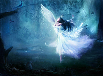 Mystical fairies, Enchanted realm, Otherworldly beings, Ethereal beauty HD wallpaper