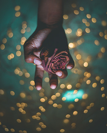 Flowers, Glare, Shine, Hand, Rose Flower, Rose, Brilliance HD phone wallpaper