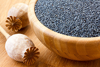 Poppy Seeds, Child-friendly safety, Health precautions, Parental concern HD wallpaper
