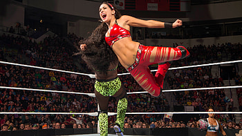 Brie Bella, Wrestling HD wallpaper