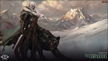 Drizzt Dungeons & dragons: tyranny of HD wallpaper