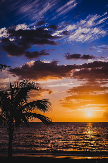 Nature, Sunset, Sky, Sea, Clouds, Horizon, Palm, Surf HD phone wallpaper