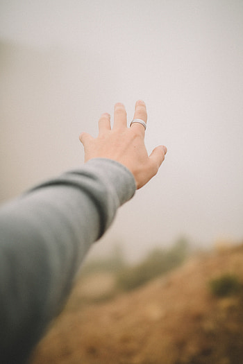 Hand, Miscellanea, Miscellaneous, Dahl, Distance, Fingers, Touching, Touch HD phone wallpaper