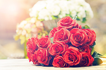 Roses, red, fresh, bouquet HD wallpaper