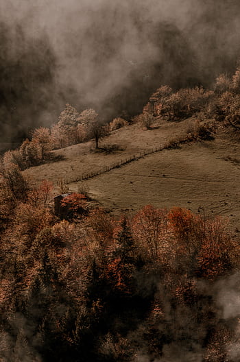 A misty autumn scene in a forested valley with colorful foliage and visible fog. HD phone wallpaper