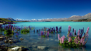 Lake Tekapo, New Zealand Mountains, nature, -perfect view HD wallpaper