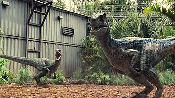 Jurassic Park velociraptor , Top-rated backgrounds, Thrilling suspense, Dinosaur theme HD wallpaper