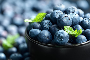 Blueberry Berrylicious, berry, food, blueberry HD wallpaper