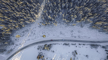 Aerial view, turn, road, trees, winter HD wallpaper