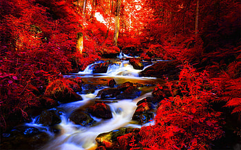 AUTUMN FALLS STREAM, falls, autumn, forest, stream HD wallpaper