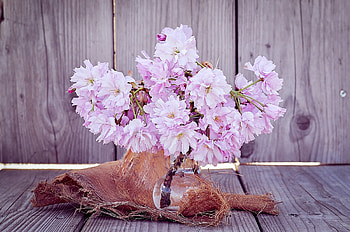 Flowers, Sakura, Bouquet, Vase HD wallpaper