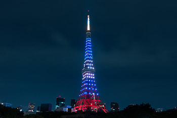 Cities, Night City, City Lights, Illumination, Backlight, Tower, Tokyo HD wallpaper