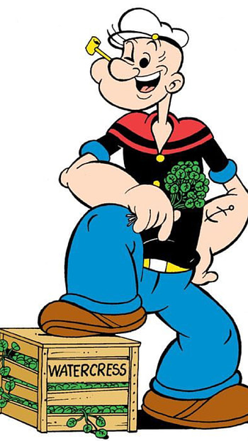 Popeye the Sailor, Childhood memories, Classic cartoons, Beloved characters HD phone wallpaper