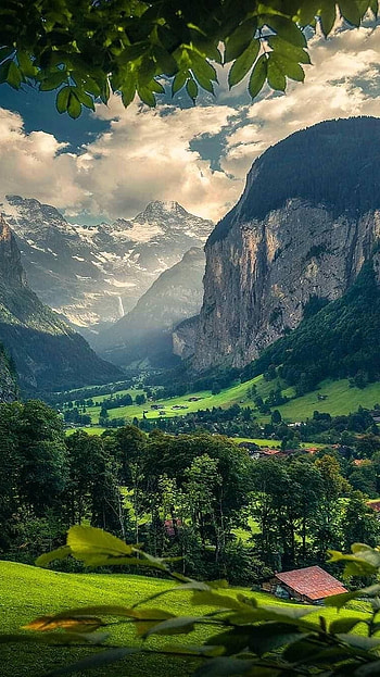 Nature, Natute Nature, nature nature HD phone wallpaper