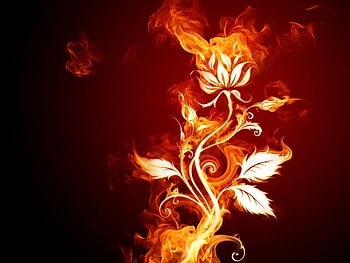 Background, Fire HD wallpaper