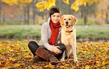 Girl and dog - autumn, sweet, dogs, puppies, cute, beautiful, playful, playful dog, puppy, dog face, pretty, animals, face, lovely HD wallpaper