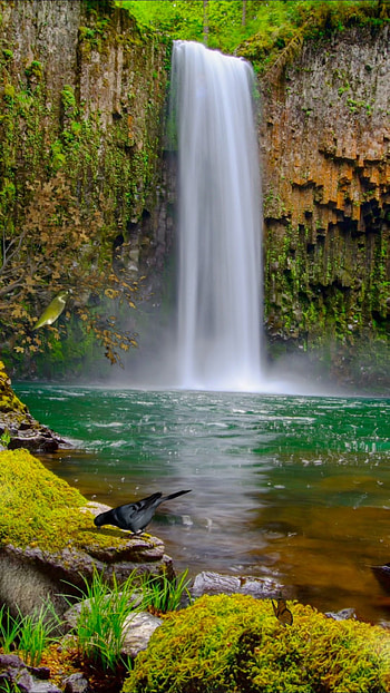 Water Fall, outdide HD phone wallpaper
