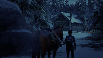 Ellie Williams, Ellie (The Last of Us), The Last Of Us, The Last of Us Part I HD wallpaper
