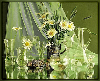 Various glass containers, graphy, vase, cups, still life, green, glass, glasses, flowers, various containers HD wallpaper