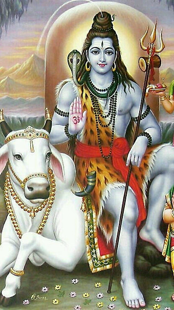 Sivan , Lord Shiva, Mahadev, nandi HD phone wallpaper