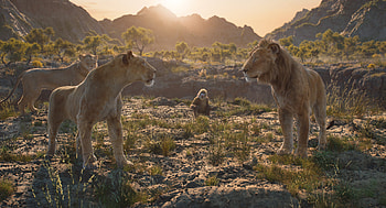 Mufasa: The Lion King, movie, Mufasa: The Lion King HD wallpaper