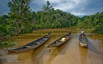 Suriname travels, Captivating , backgrounds, Visual inspiration HD wallpaper