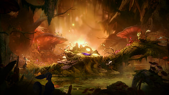 Ori And The Will Of The Wisps , ori-and-the-will-of-the-wisps, 2018-games, games, pc-games, xbox-games HD wallpaper