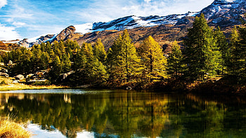 Zermatt, Swiss Alps, trees, clouds, sky, switzerland, water, reflections, lake HD wallpaper