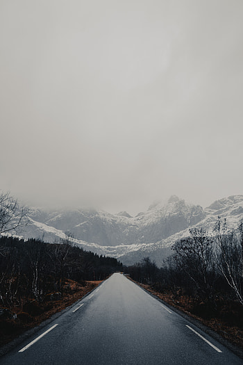 Nature, Trees, Mountains, Road, Wet, Asphalt HD phone wallpaper